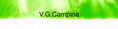 VGCampina